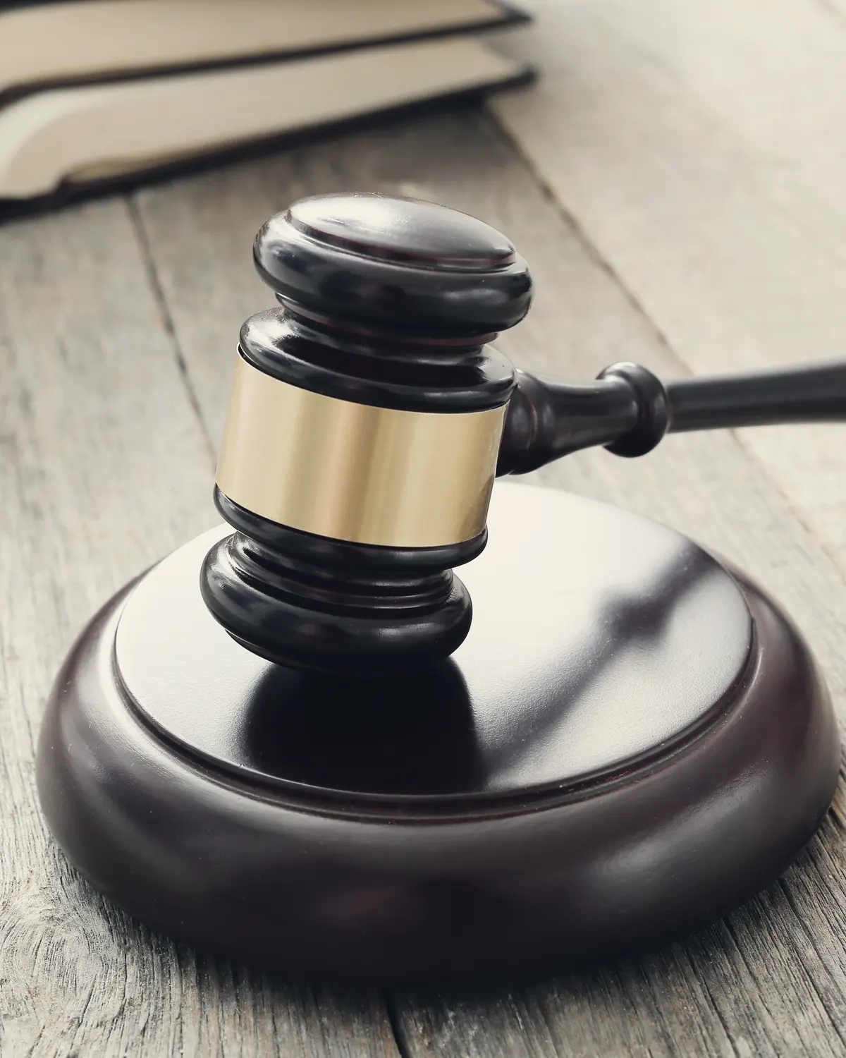 Granting Sale Authority to the Debtor under the Execution and Bankruptcy Code